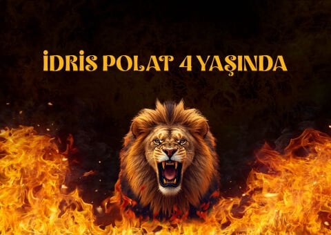 Doğum Günü Duvar Örtüsü